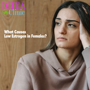 What Causes Low Estrogen In Females?