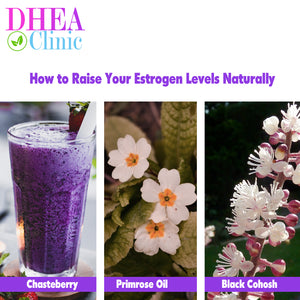 5 Ways to I Increase Your Estrogen Levels Naturally