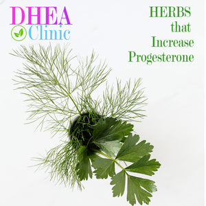 Herbs To Increase Progesterone: 6 Astounding Nutrients!